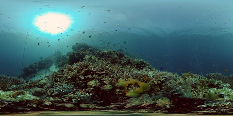 Naklejka na ściany i meble Beautiful underwater landscape with tropical fish and corals. Philippines. 360 panorama VR