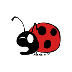 Marienkäfer 