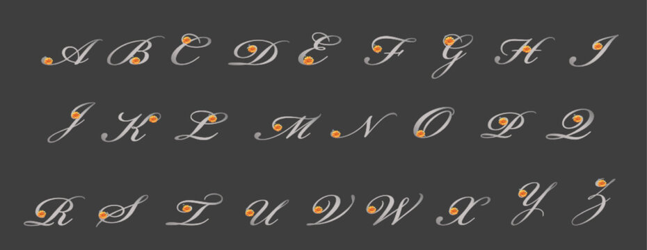 Silver Alphabet Letters font, Calligraphy font, Flower font