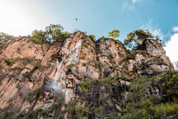 Falésia imponente com árvores e um pássaro voando acima.