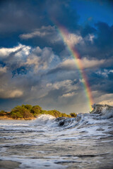 HAWAII RAINBOW