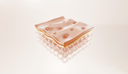 large pores skin layer and, reduce up saggy skin of the skin cell. 3d rendering.  