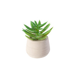 Houseplant in pot cutout, Png file.