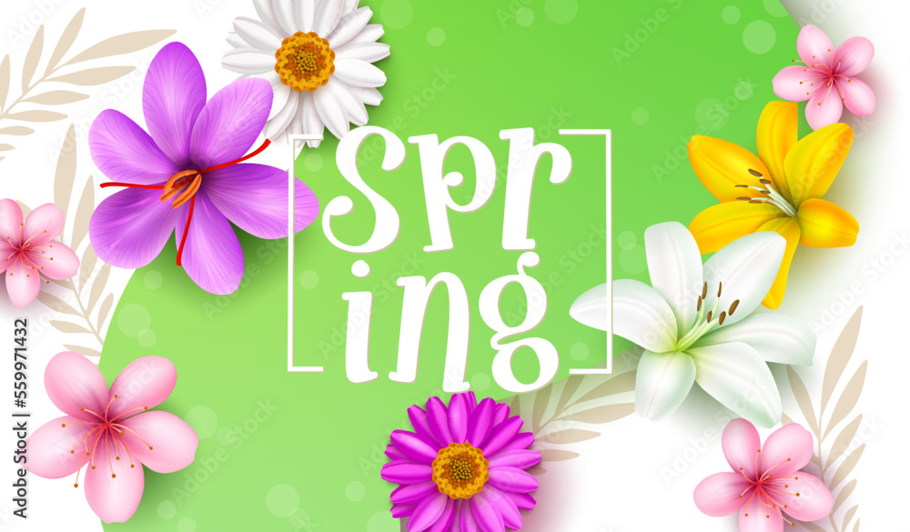 Poster spring text vector template design. spring typography in frame space with blooming flower elements f