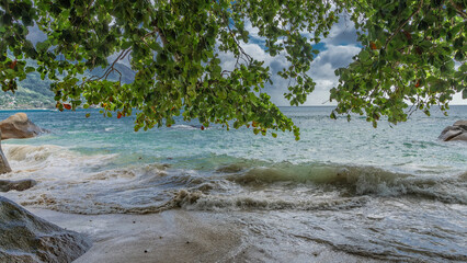 Branches of tropical trees hang over the beach. Green leaves against the sky and clouds. the waves of the turquoise ocean beat against boulders and foam on the sand. Seychelles. Mahe.
