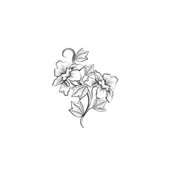 Flower isolated vector illustration, tattoo, print for clothes and logo design, decorative flower silhouette on a white background.
