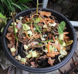 kitchen scraps composted
