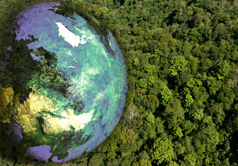 Atmospheric aerial view of the green forest with the earth Demonstrate the concept of preserving...