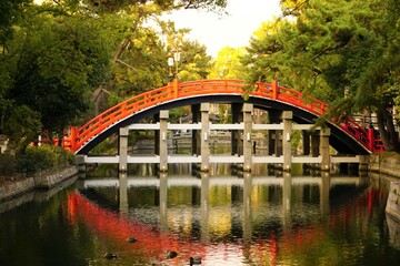 住吉大社　太鼓橋