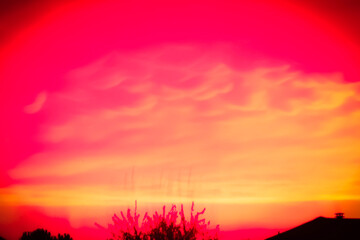 Obraz premium sunset, sky, sun, clouds, tree, nature, landscape, trees, orange, sunrise, evening, silhouette, cloud, red, light, dusk, forest, beautiful, blue, color, golden, yellow, weather, summer, colorful