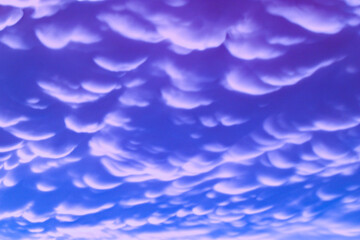 sunset, sky, sun, clouds, tree, nature, landscape, trees, orange, sunrise, evening, silhouette, cloud, red, light, dusk, forest, beautiful, blue, color, golden, yellow, weather, summer, colorful