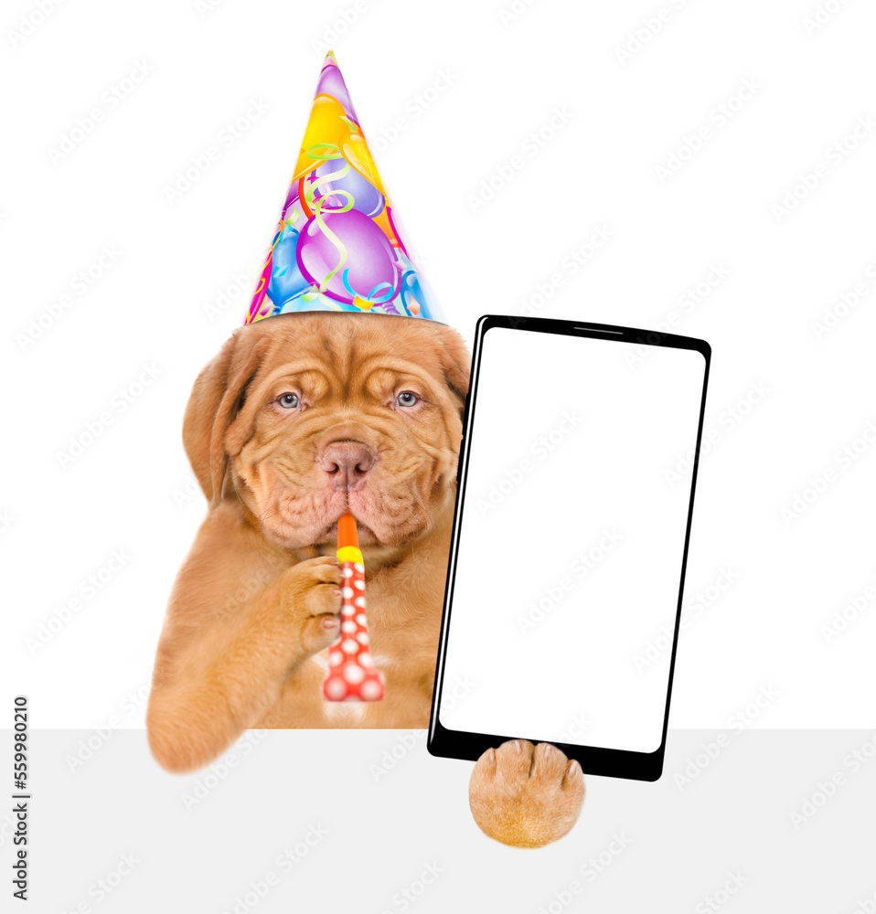 Poster mastiff puppy wearing party cap blowing in party horn holds big smartphone with white blank screen i