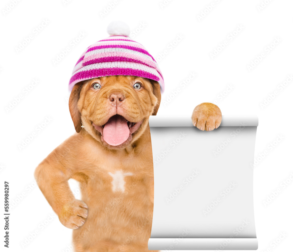 Poster happy mastiff puppy wearing a warm hat with pompon shows empty list. isolated on white background