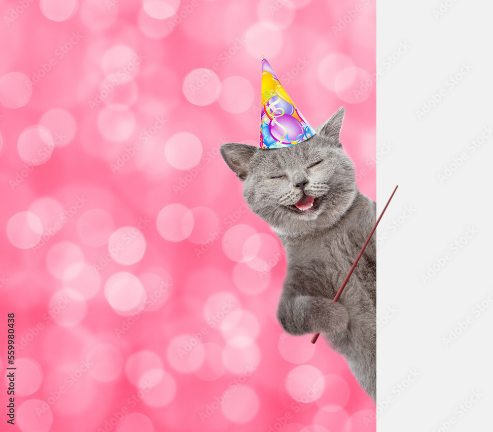 Aufkleber Happy cat wearing party cap and sunglasses points away on empty white banner. Shade trendy color of the year 2023 - Viva Magenta background. Empty space for text