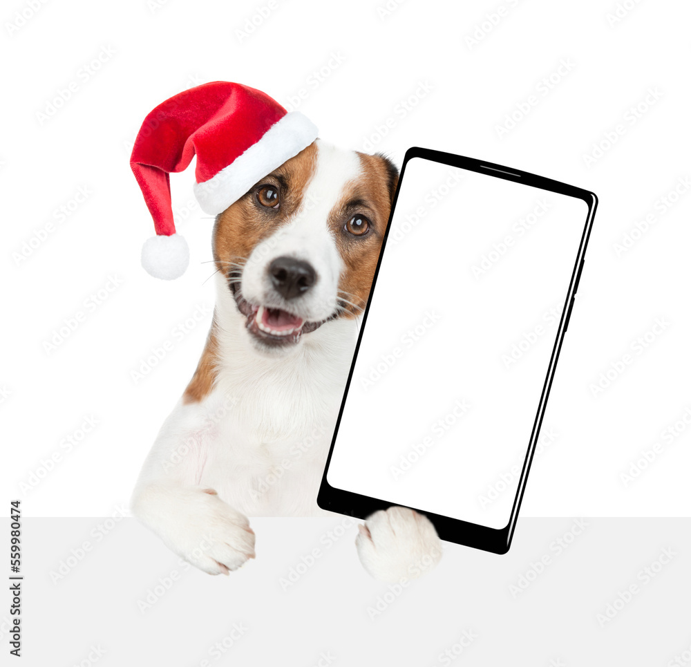 Poster jack russell terrier puppy wearing santa hat holds big smartphone with empty screen in it paw, showi