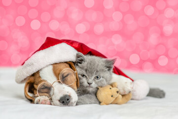 Fototapeta na wymiar Friendly Jack russell terrier wearing santa's hat sleeps with kitten and toy bear on festive background. Cute kitten embraces toy bear. Shade trendy color of the year 2023 - Viva Magenta background