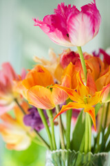 Obraz na płótnie Canvas colorful tulips in the vase