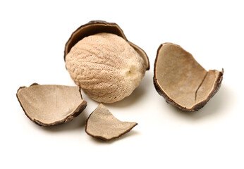 nutmeg fruits isolated on a white background