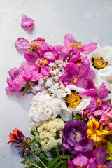 spring flowers on the silver background