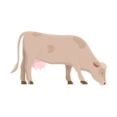 Cow breed vector illustration. Cartoon drawing of cow, meat, milk or dairy production. Agriculture, farming, cattle breeding, domestic animals concept