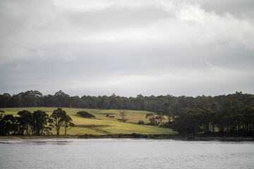 farm on the coast next to the ocean in australia