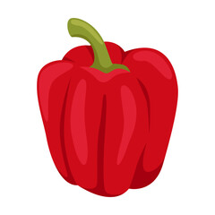 Cartoon drawing of red sweet bell pepper isolated on white background. Colorful vegetable vector illustration. Organic food, health concept