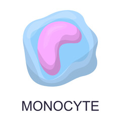 Blood cell vector illustration. Cartoon of leukocytes, neutrophil, monocyte, basophil, eosinophil, macrophage, dendritic cell. Anatomy, biology, science concept