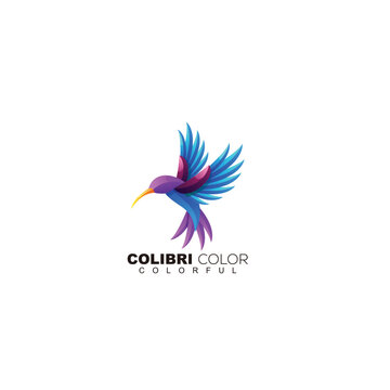 colibri colorful logo template design gradient