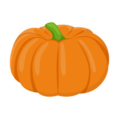 Cartoon drawing of ripe orange pumpkin isolated on white background. Colorful vegetable vector illustration. Organic food, health concept