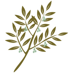 olive branch (olive symbol)