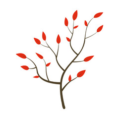 Cartoon drawing of branch with leaves isolated on white background. Autumn tree twig, plant vector illustration. Nature, autumn or fall concept