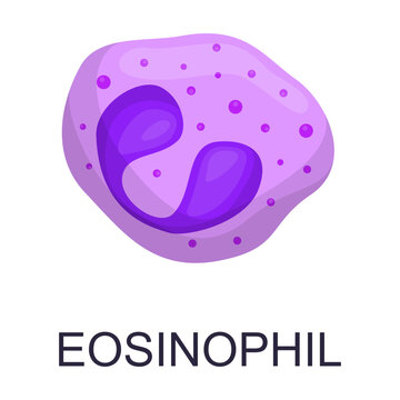 Blood cell vector. Drawing of leukocytes, neutrophil, monocyte, basophil, eosinophil, macrophage, dendritic cell. Anatomy, biology, science concept