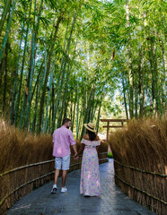 The couple visits a Bamboo forest in Chiang Mai Thailand, and a bamboo forest in a Japanese garden in Chiang Mai. A couple of Asian women and European men are in the Japanese garden. Couple mid-age