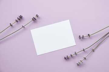 Blank paper sheet card and lavender flowers on pastel purple background. Flat lay, top view mockup with empty copy space.