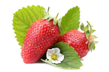 Strawberries on white background isolated 