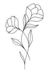 Delicate flowers. Vector black and white.