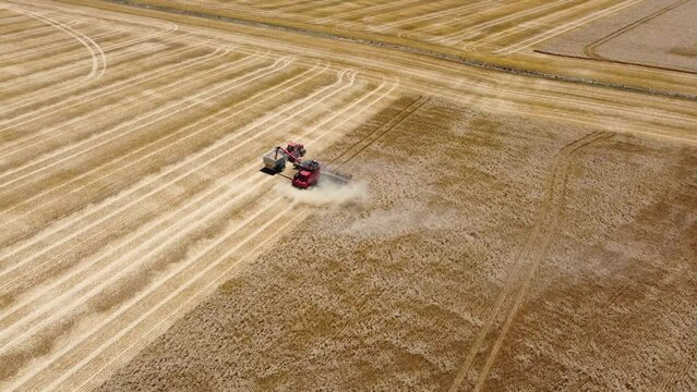 Aerial drone landscape scenic shot of tractor cutting wheat combine harvester Agriculture travel tourism farming industry Port Pirie Adelaide South Australia 4K