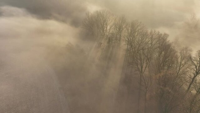 Poranne mgły i promienie słońca nad lasami i polami z drona