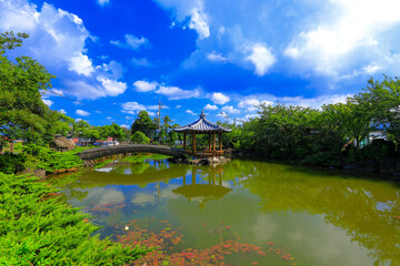 Obraz premium 대한민국 제주도에 있는 넓은못 이라 부르는 연못의 아름다운 풍경이다.