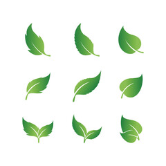 Set of Green Leaf Logo design inspiration vector icons