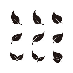 Set of Green Leaf Logo design inspiration vector icons
