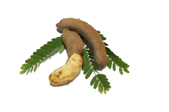 Two raw tamarinds and green leaves laying on white background