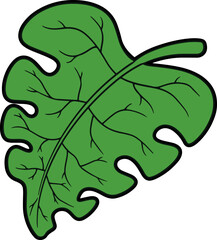 Hand Drawing Tropical Leaf 