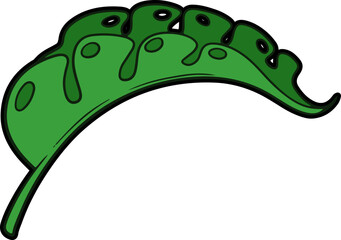 Hand Drawing Tropical Leaf 