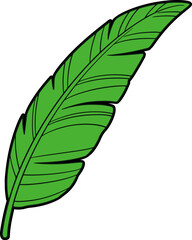 Hand Drawing Tropical Leaf 