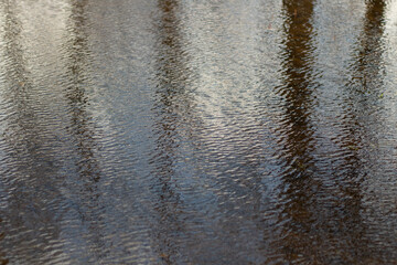 Waves on water. Wind on surface of water. Reflection in puddle.