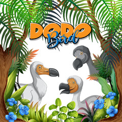 Dodo bird extinction animal cartoon character