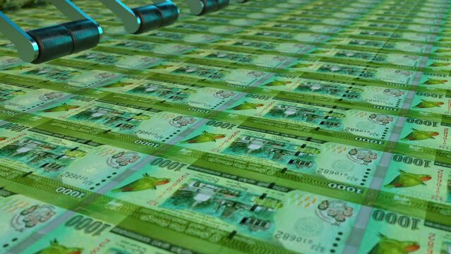 Rs 1000 inflation Sri Lanka LKR RS 5000 currency money printing made bank exchange economics crisis