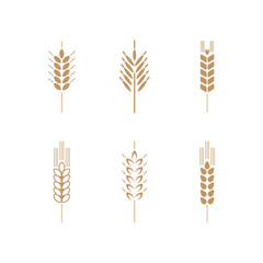Wheat branches icon set