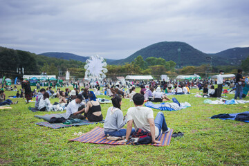 people watching concert in the park at open air,Summer festival concert. - 560009672